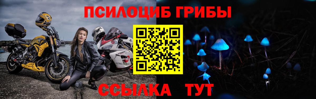 Ржев  Галлюциногенные грибы мицелий  Вход с VPN 