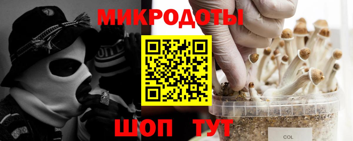Псилоцибиновые грибы Psilocybine cubensis Ржев